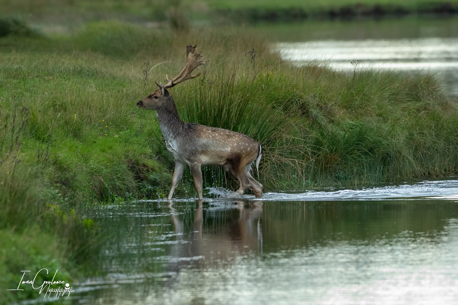 22 oktober 2023 103231  R2A8240 bewerkt